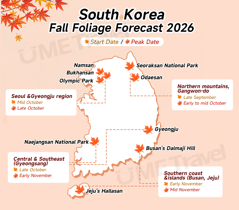 South Korea Fall Foliage Forecast 2026