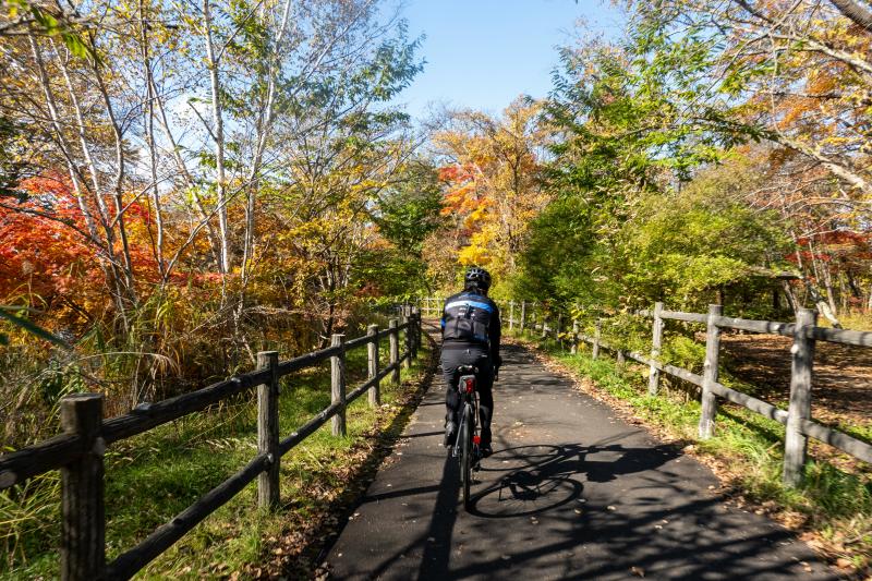 Cycling out of Chitose under Colourful Autumn Foliage in Hokkaido