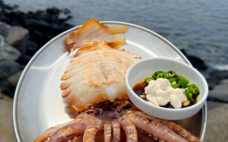 Jeju Hallasan Octopus