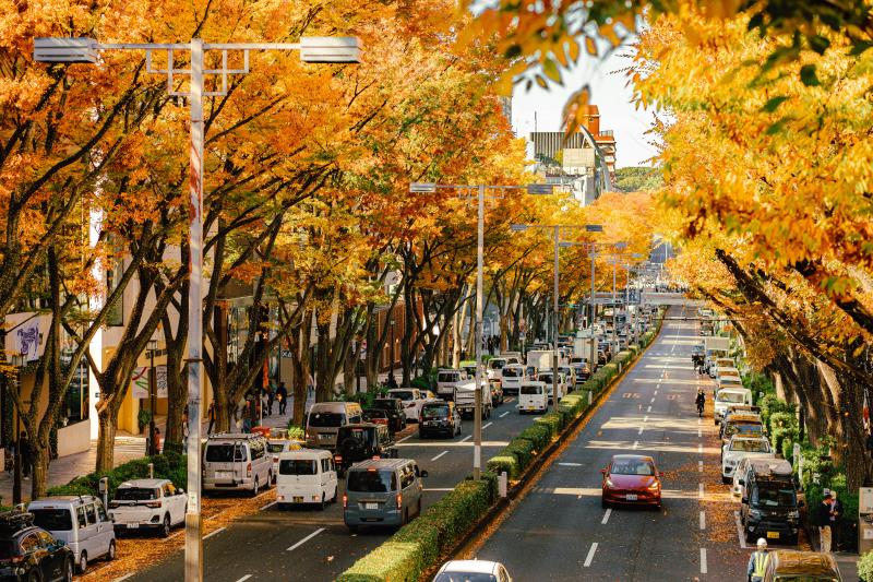 Autumn in Tokyo Japan