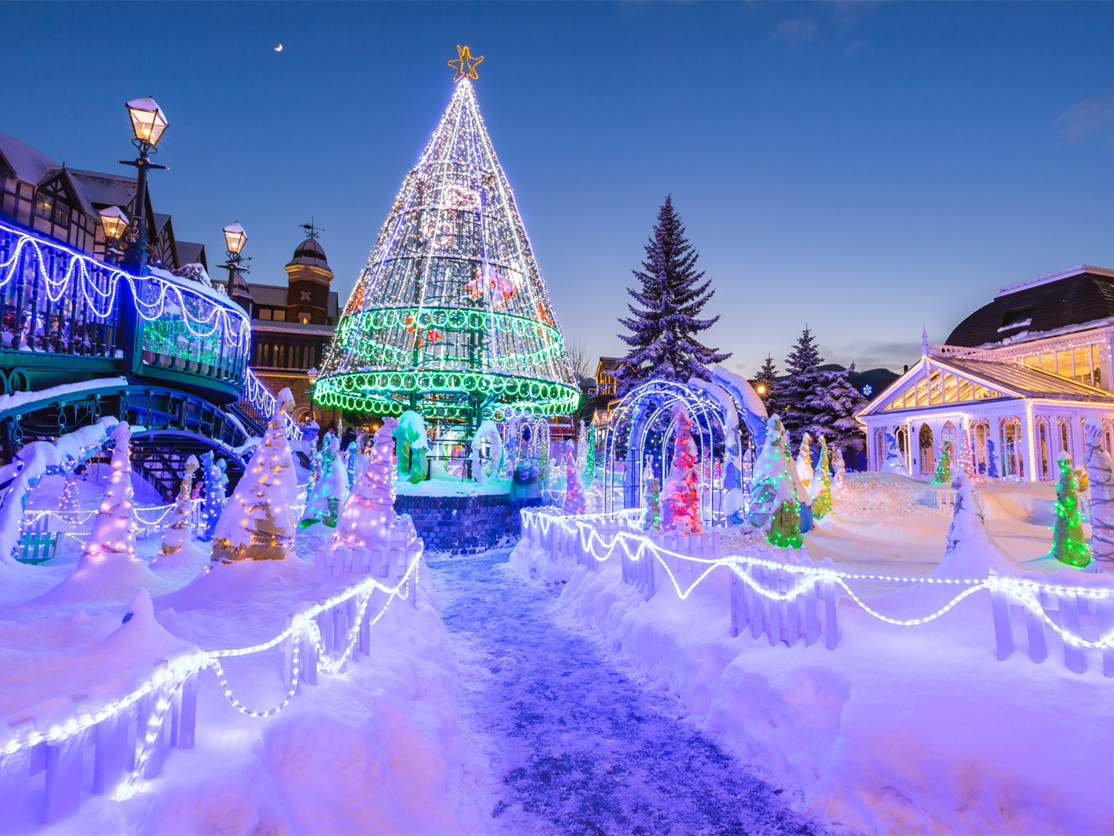 Special winter illumination in the park