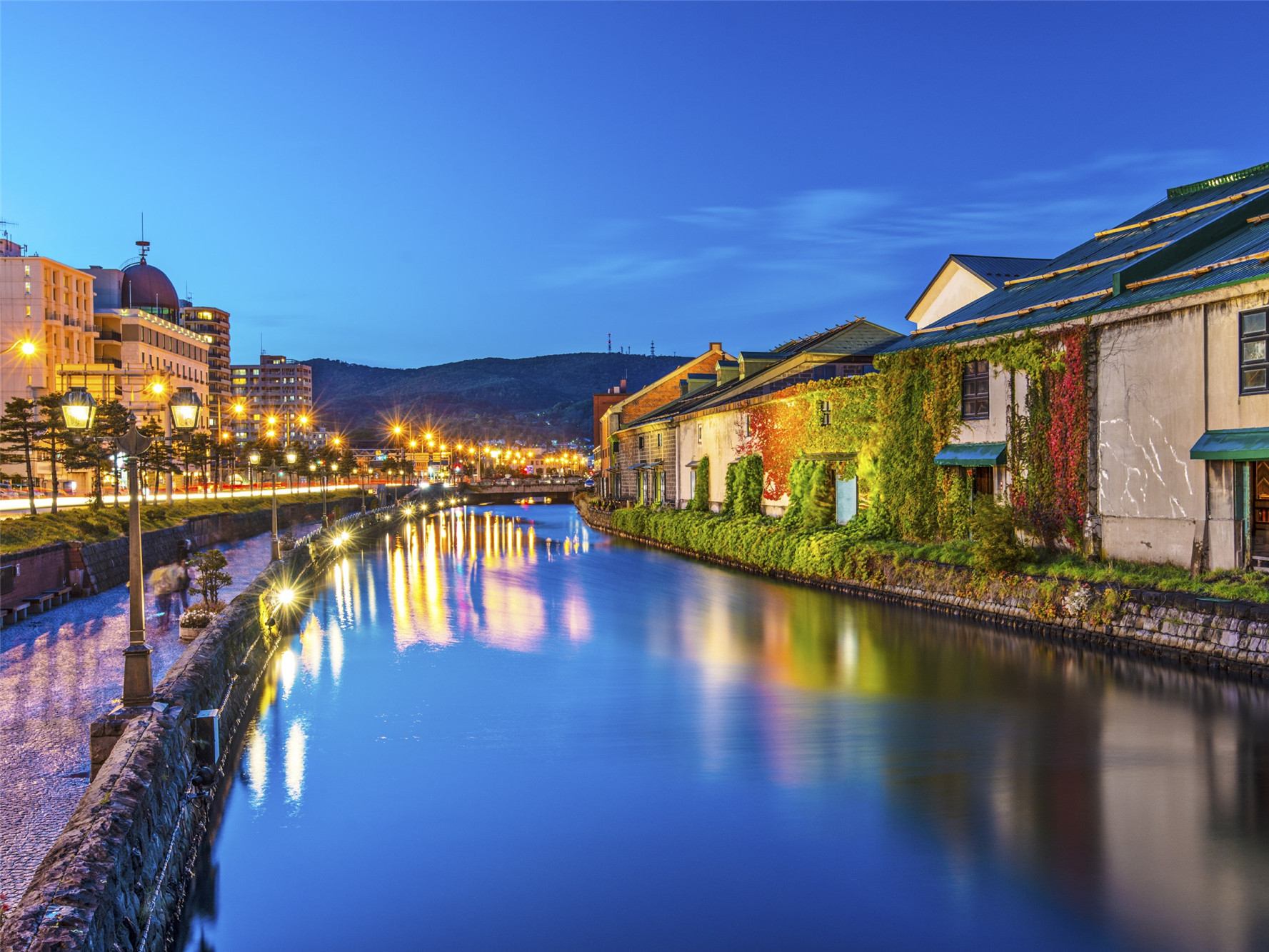 Otaru canal with night vibe