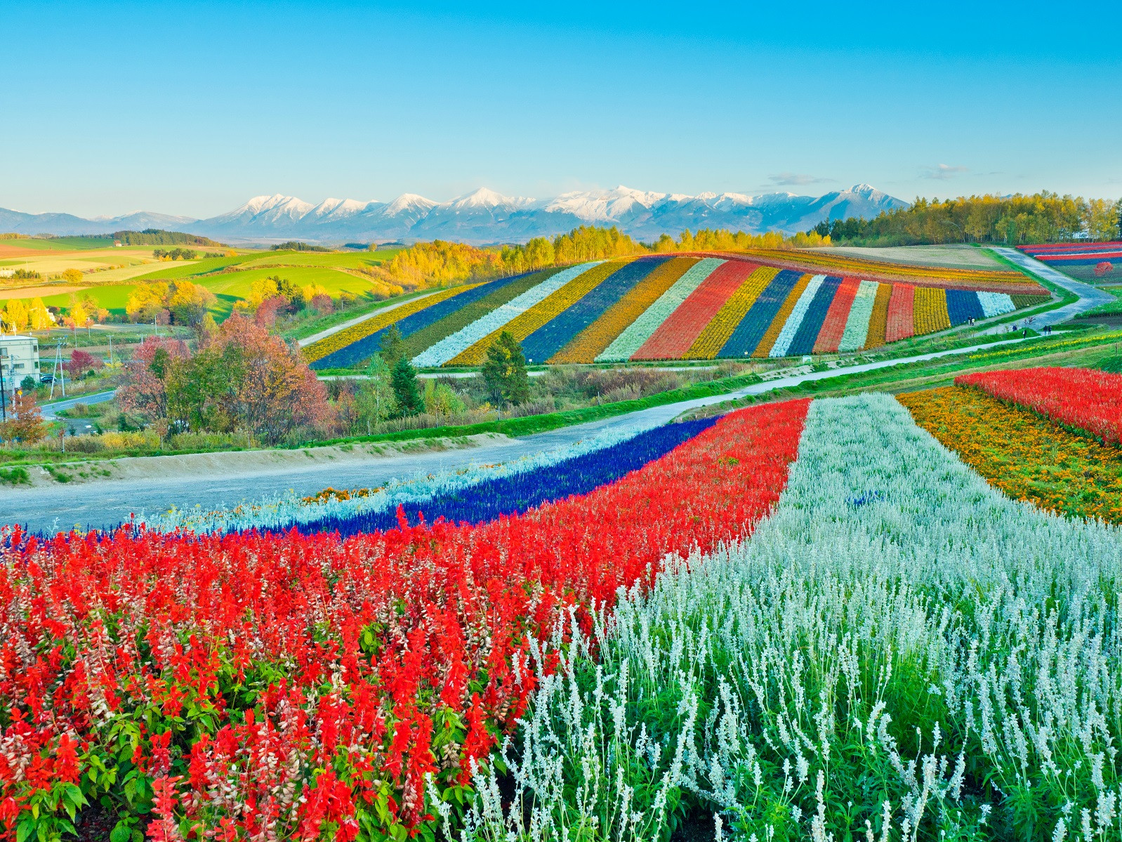 Patchwork Road is Such a Colorful Palette in the Summer 