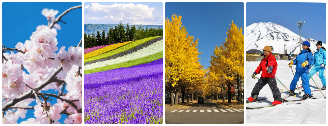 The four seasons in Hokkaido are distinct and beautiful.