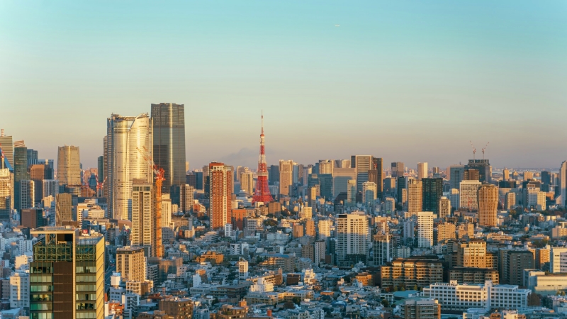 Panoramic skyline view of Tokyo at sunrise.