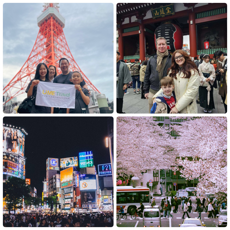 Tokyo March weather blends vibrant city life with the first signs of spring.