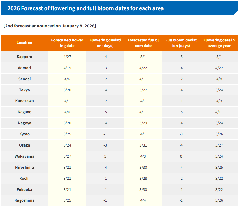 Cherry Blossom in Japan 2026 Dates from JMC on January, 8