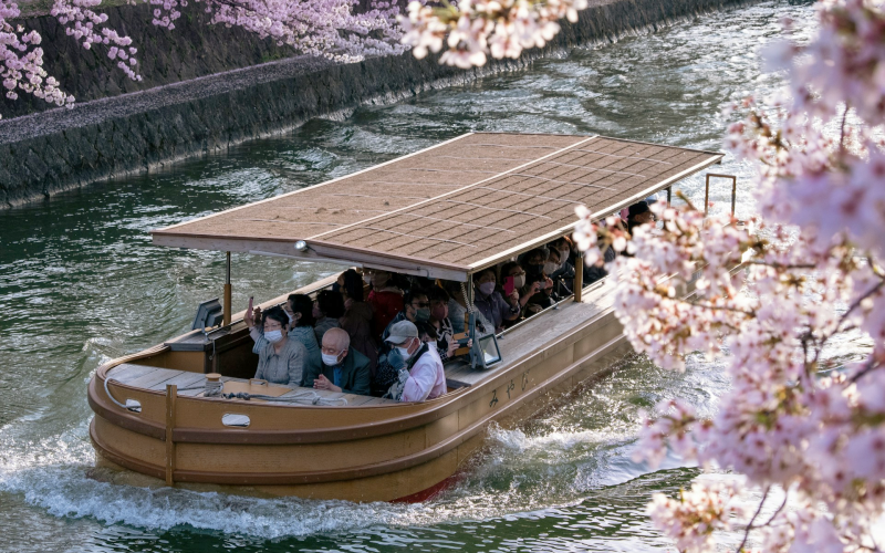 A cherry blossom cruise glides along Tokyo’s Meguro River in early April.