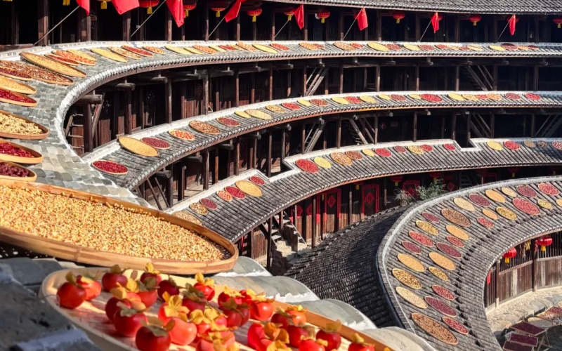Harvest scene in Hakka Tulou