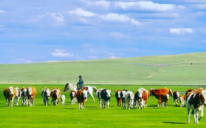 Hulunbuir, Inner Mongolia