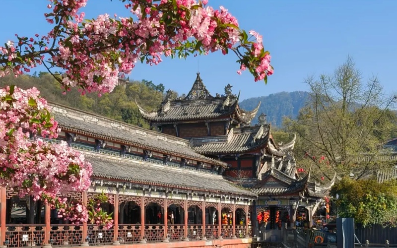 Flower Season in Dujiangyan