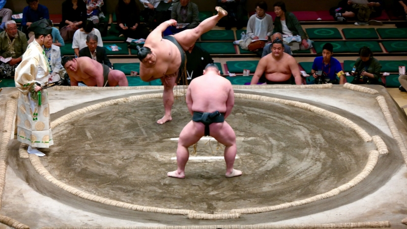 The sumo tournament is currently underway.