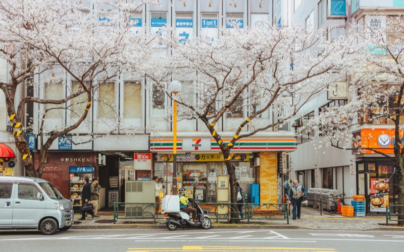 Late March in Tokyo, with cherry blossoms in full bloom along the streets.