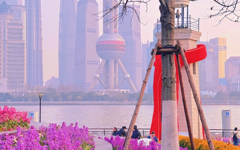 Shanghai Spring Scenery
