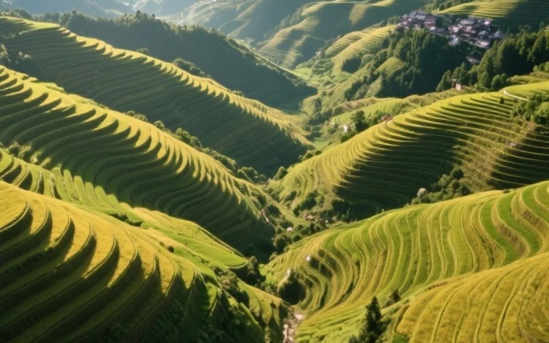 Longsheng Rice Terraces