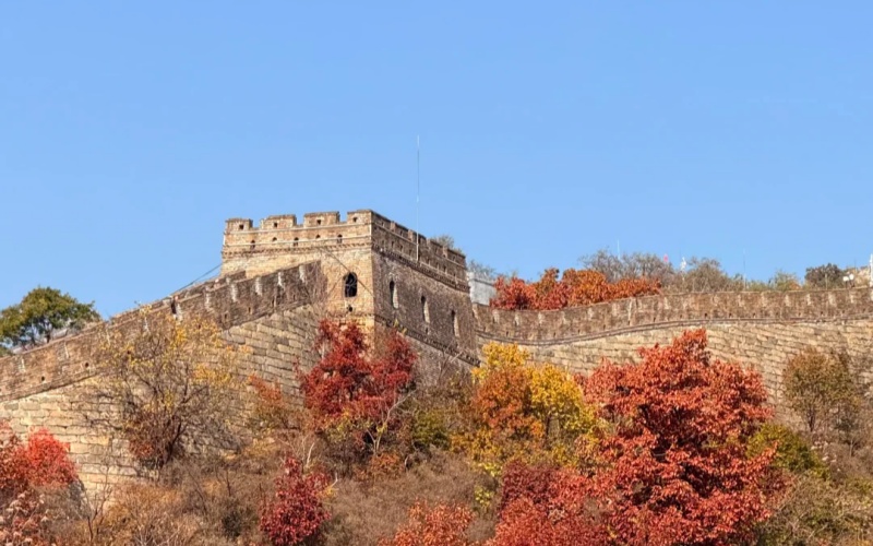 The Great Wall's Autumn Splendor