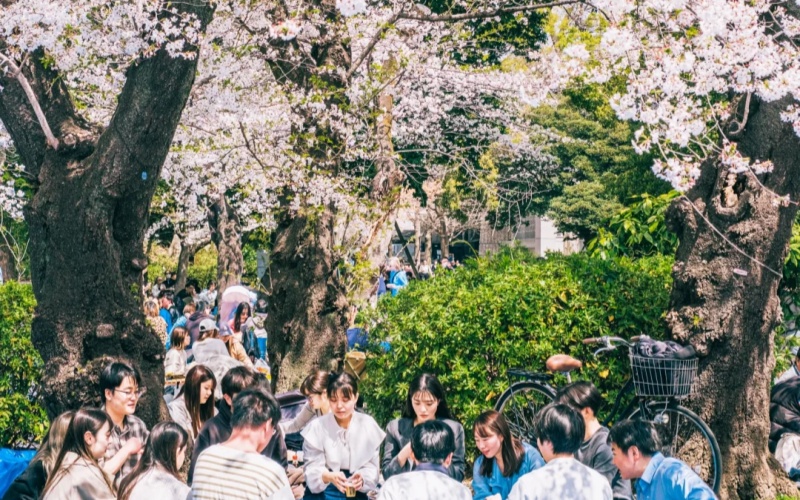 Picnic at Ueno Park