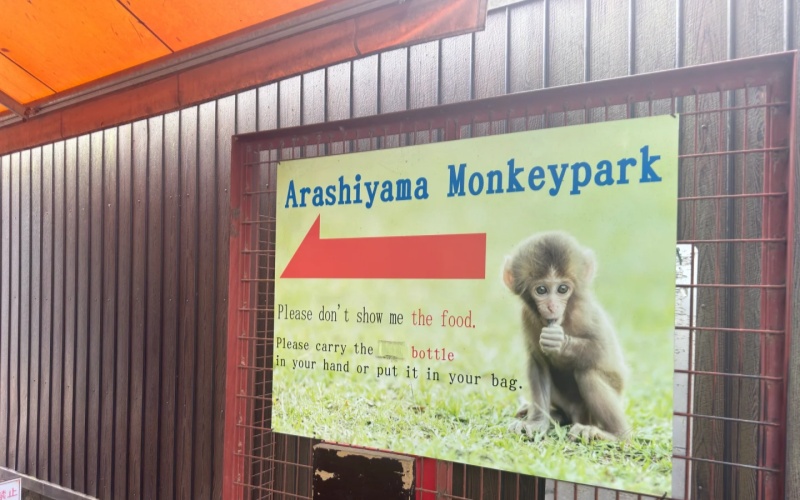Arashiyama Monkey Park