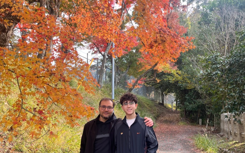 Japanese Maple Appreciation