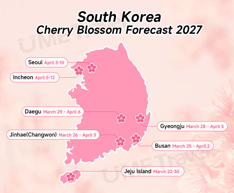 South Korea Cherry Blossom Forecast