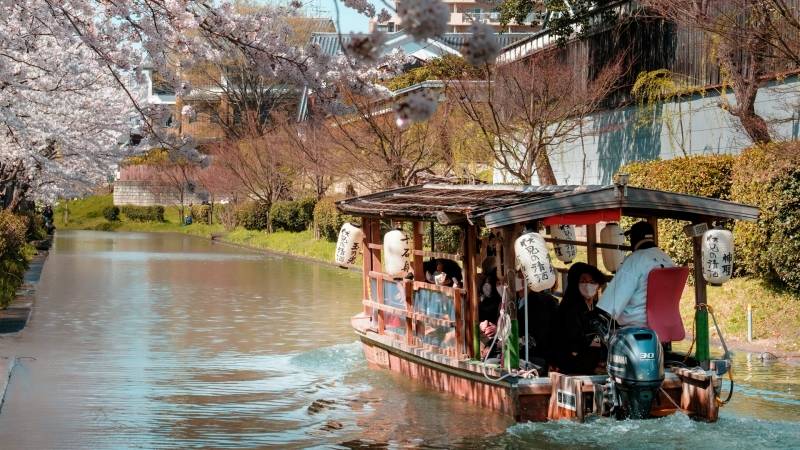 The boat glides along a cherry blossom-lined canal in Kyoto, offering a peaceful spring view.