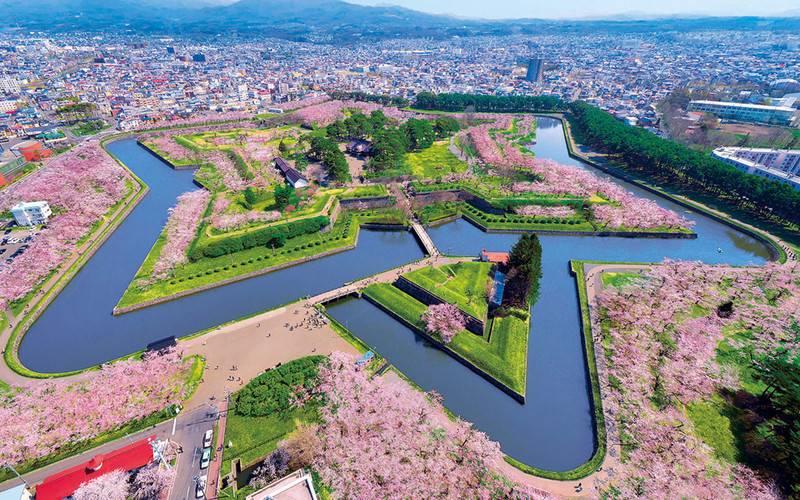 An aerial view of Goryokaku Park shows its star-shaped moat surrounded by soft pink cherry blossoms in spring.