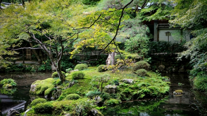 The lush, moss-covered gardens of Nanzenji Temple glow a deep emerald green after a gentle June rain.