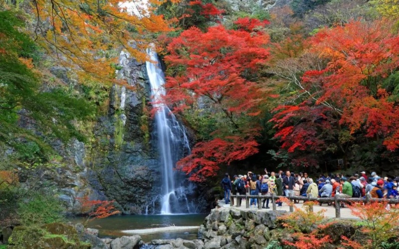 The Iconic Vista of Vibrant Autumn Leaves Framing the Majestic Waterfall