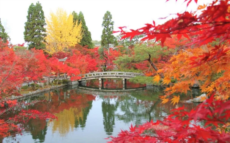 Eikando, the Zenrin-ji Temple of Autumn Leaves