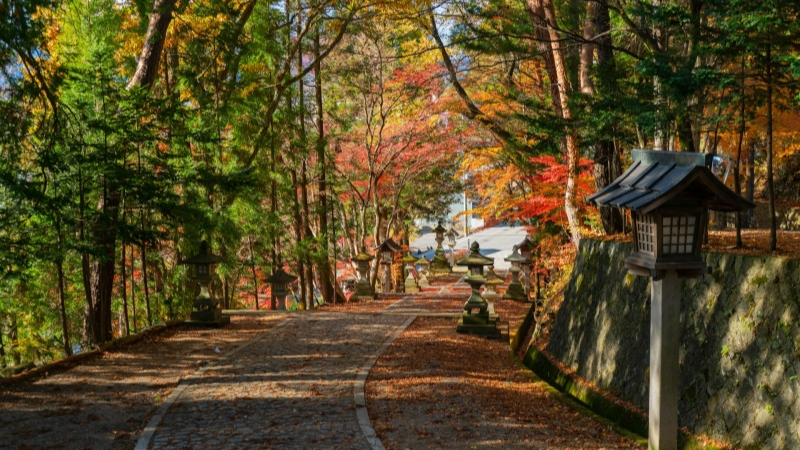 Takayama Autumn in the stunning red and gold