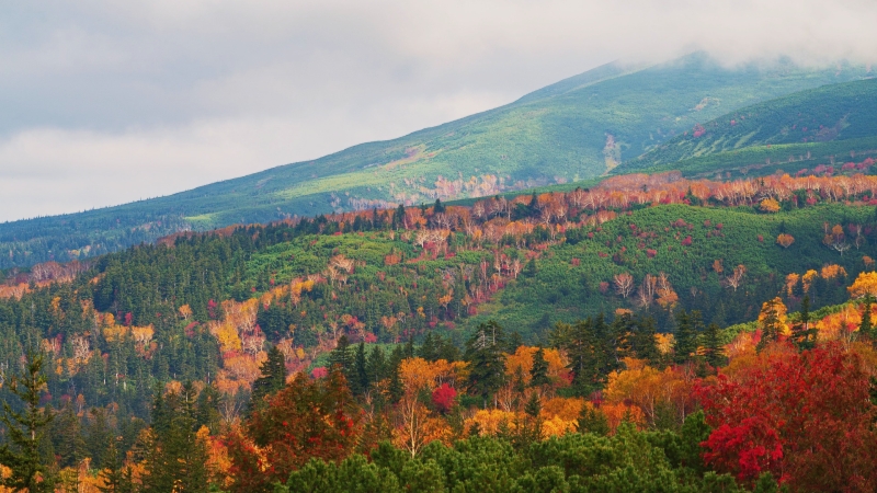Wide sight of Daisetsuzan first autumn leaves