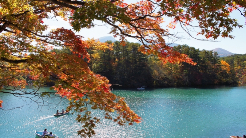 A bright autumn days with red foliages at Mt bandai, Urabandai