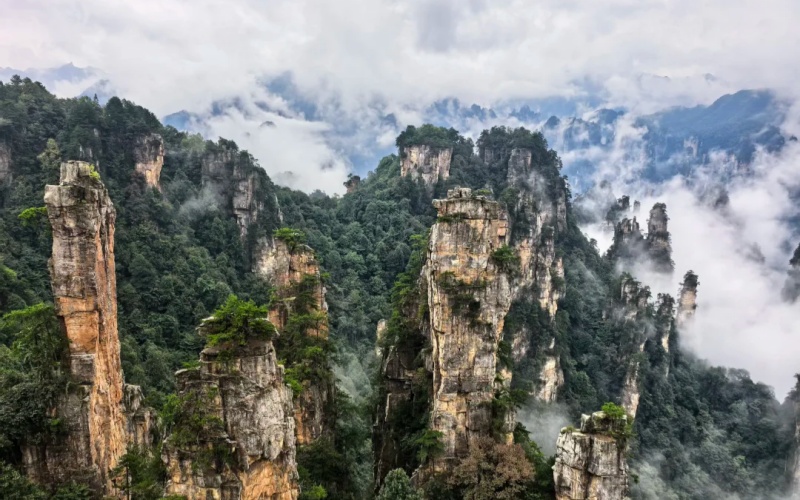 Towering sandstone pillars of Zhangjiajie