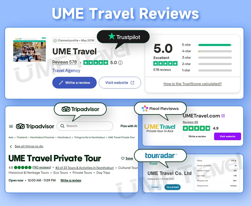 UME Travel Reviews