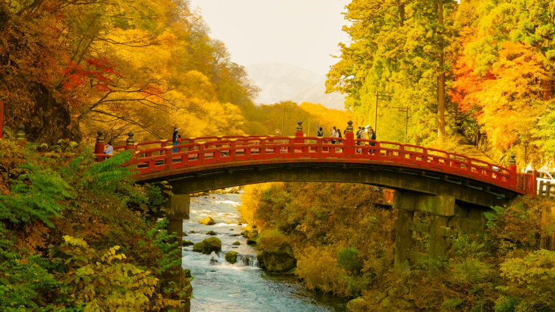 Crisp November air meets the vibrant autumn foliage at the iconic Shinkyo Bridge in Nikko.