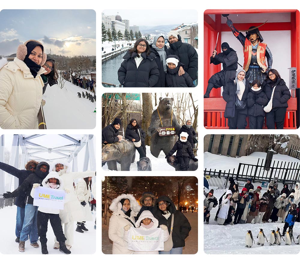 japan-winter-ume-travel-mosaic.jpg