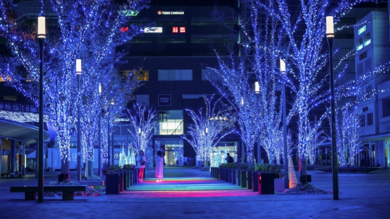 A glowing blue illuminated pathway in Tokyo transforms the night into a magical winter scene