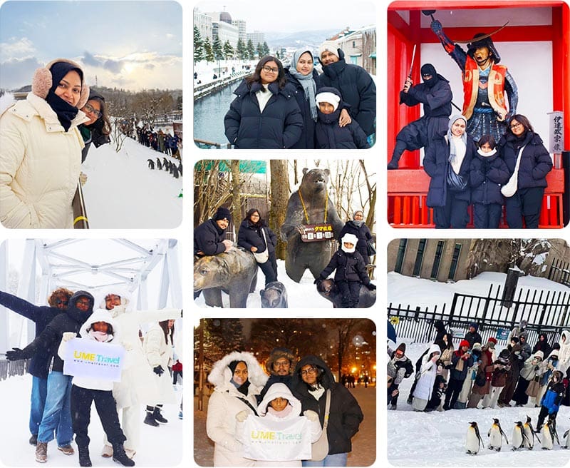 japan-winter-ume-travel-mosaic.jpg