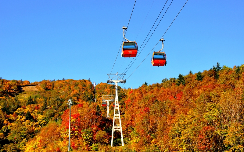 Early Autumn at Sapporo International Ski Resort