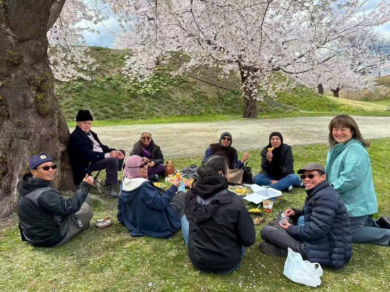 UME's Travelers Enjoying a Hanami Picnic under Cherry Blossoms in Japan during Spring