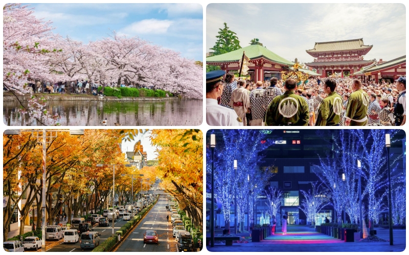 Tokyo Weather in 4 Seasons