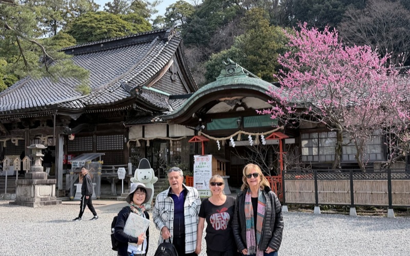 Japan Seniors Cherry Blossom Tour 