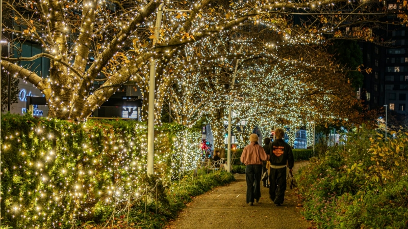 Warm golden winter light displays decorating trees and hedges along a walking path in Roppongi, Tokyo during December.