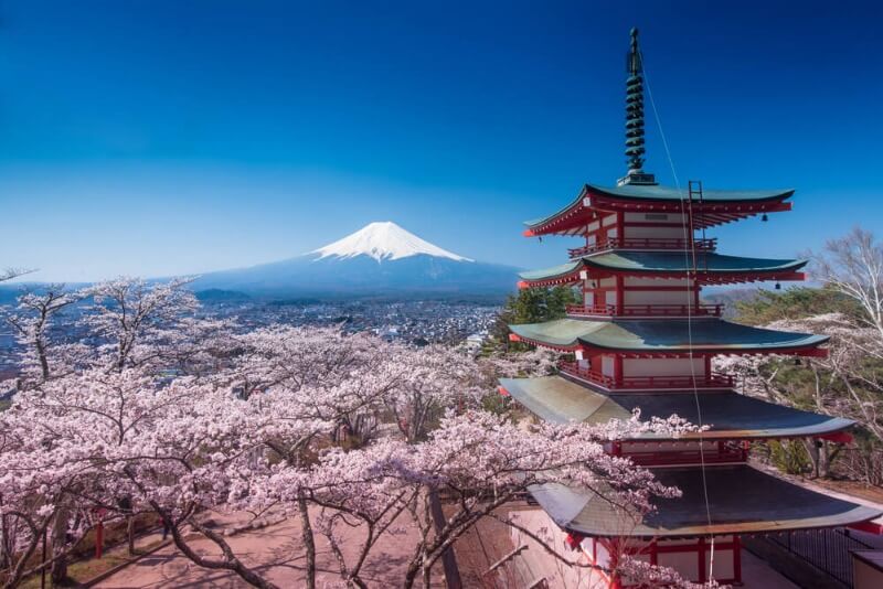 Classic Japan Sakura Landscape with Mount Fuji, Chureito Pagoda, and Cherry Blossoms
