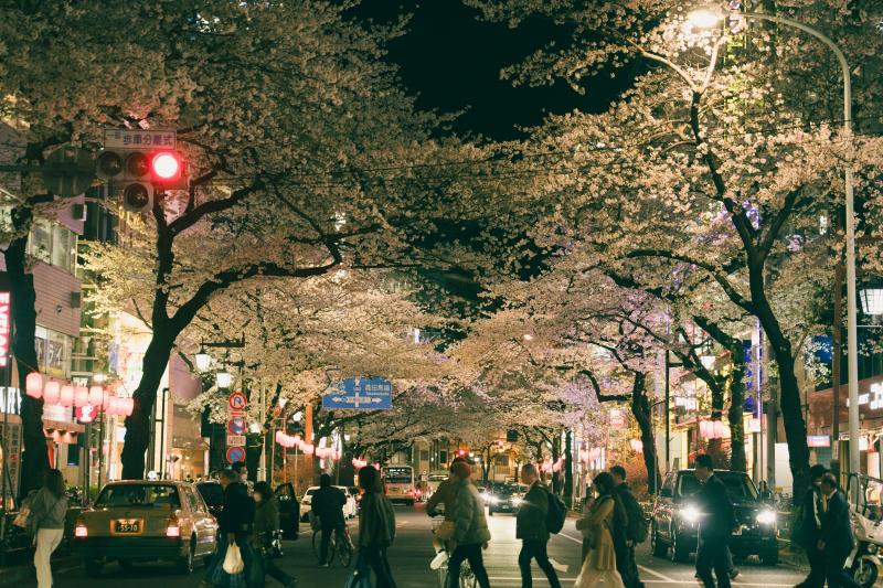Tokyo Night Street with Cherry Blossoms, Pedestrians, and City Lights