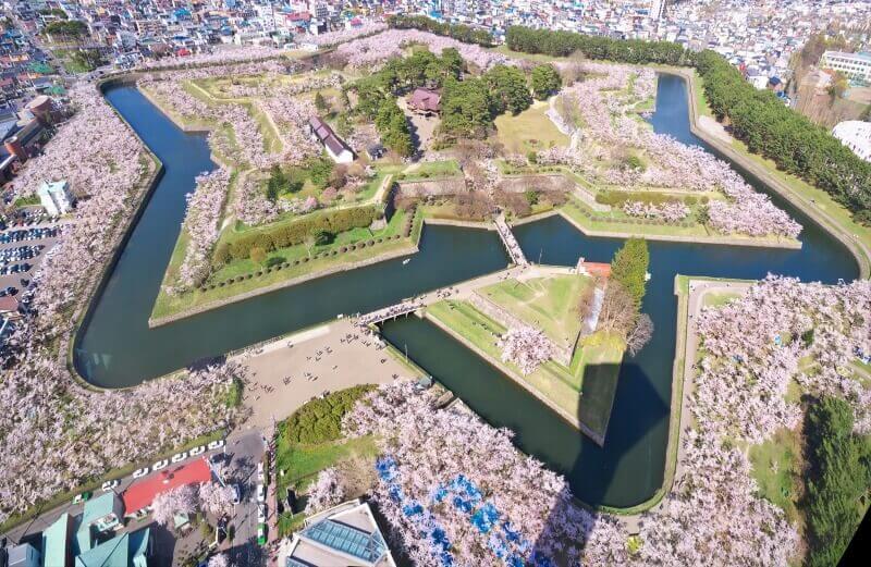 Hokkaido Late Cherry Blossom Photography at Goryokaku Park in Hakodate