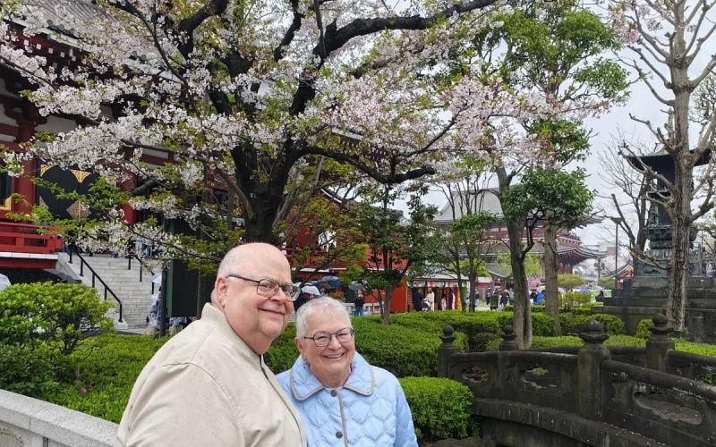 Sensoji Temple Tokyo Senior Cherry Blossom Tour