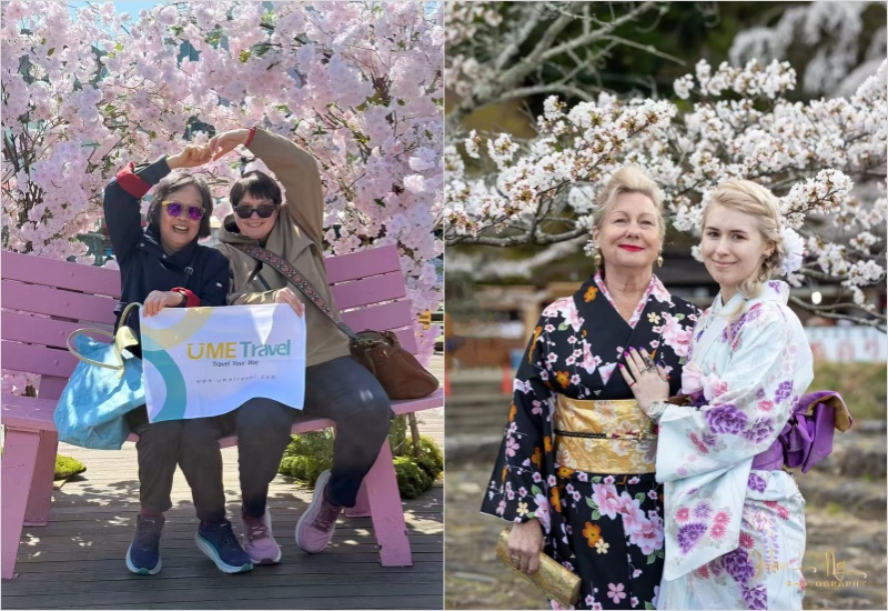 UME Travel Guests Enjoying Cherry Blossoms in Japan during Sakura Season
