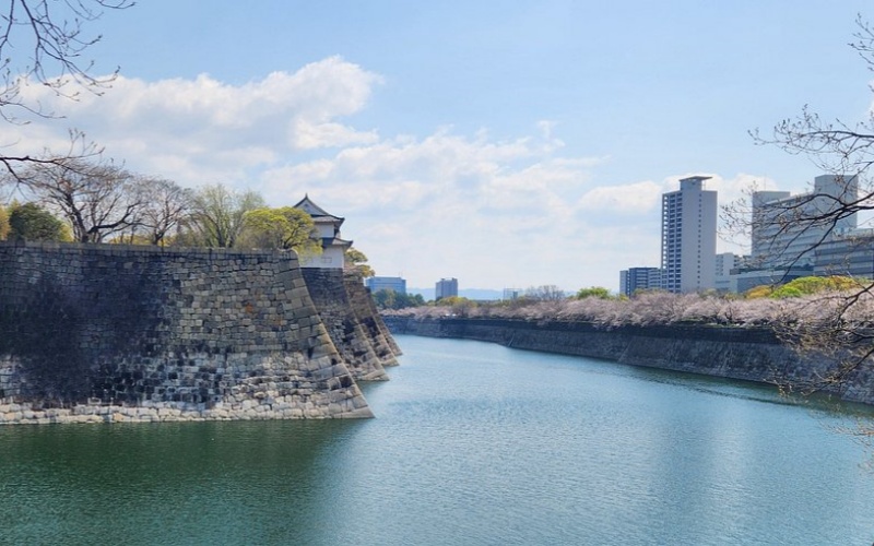 Osaka Castle Outer Moat Cherry Blossoms View