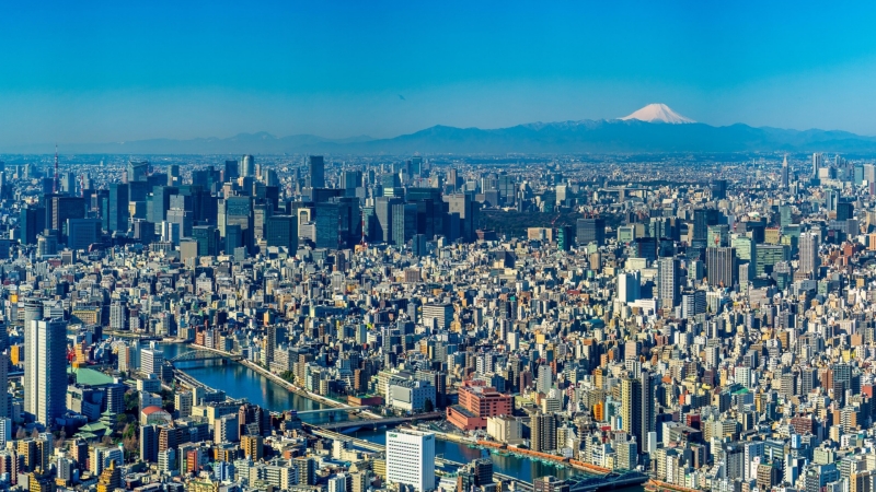 You can clearly see Mt. Fuji from Tokyo in January